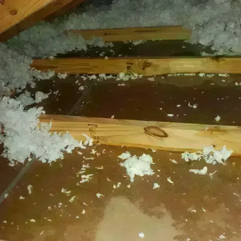 Attic Water Damage in Cameron Park Colonia, TX