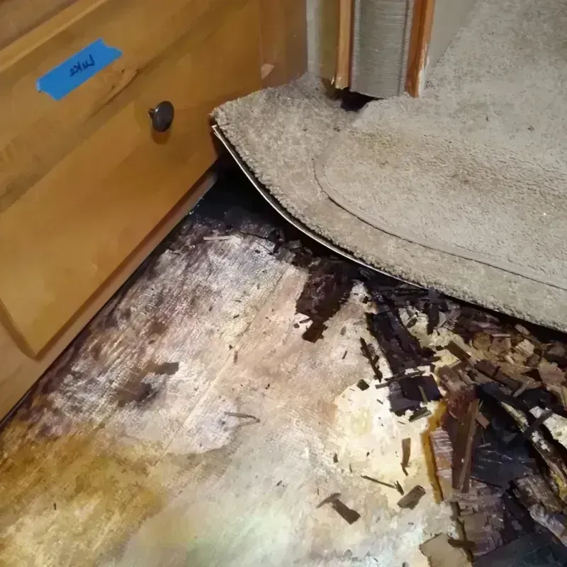 Best Wood Floor Water Damage Service in Cameron Park Colonia, TX